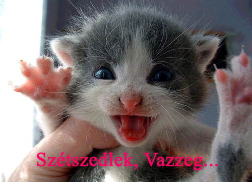 kiskancso